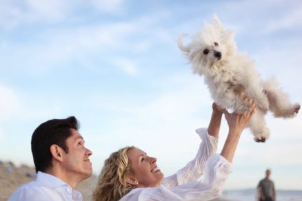 Can I include my pets in a living trust?